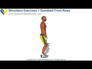 dumbbell front raise / exercise for the muscles of the shoulders