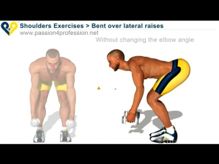 bent over lateral raises / exercise for the muscles of the shoulders