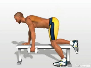 dumbbell row exercise for back muscles