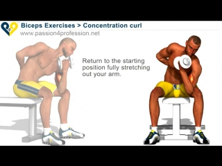 concentration curls / biceps exercise