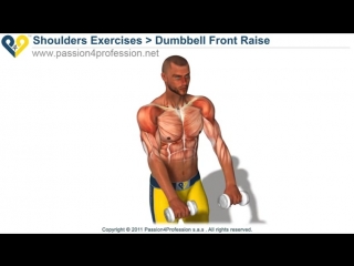 dumbbell front raise / arm exercise