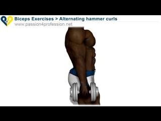 alternating hammer curls (standing with dumbbells) / hand exercise